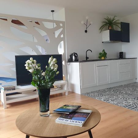 Apartament Panorama Jezow Sudecki エクステリア 写真