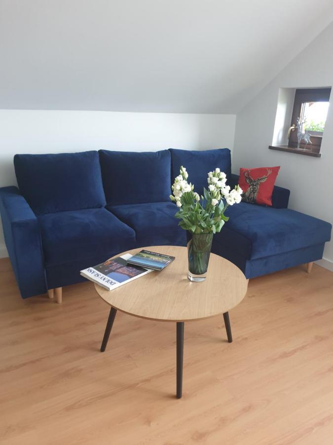 Apartament Panorama Jezow Sudecki エクステリア 写真