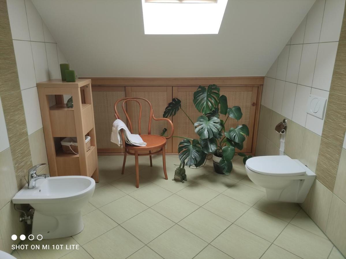 Apartament Panorama Jezow Sudecki エクステリア 写真